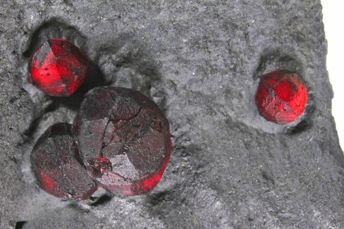 Plate of Four Red Embers Garnet in Graphite - Massachusetts #148164